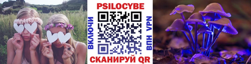 Галлюциногенные грибы MAGIC MUSHROOMS  Снежногорск 